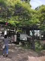 國領神社の庭園