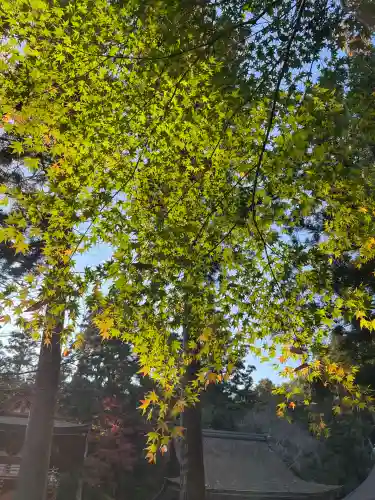 日吉大社(滋賀県)