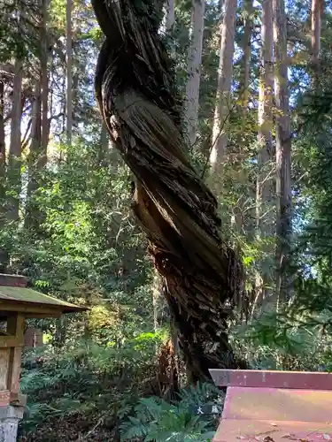 石船神社の自然