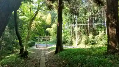 天神社(茨城県)