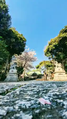 菊田神社の建物その他