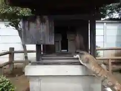 高根町熊野神社の動物