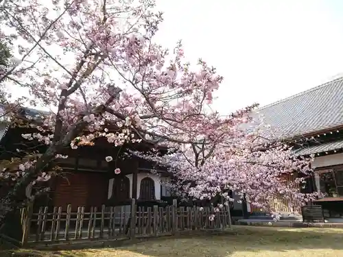 本宗寺の庭園