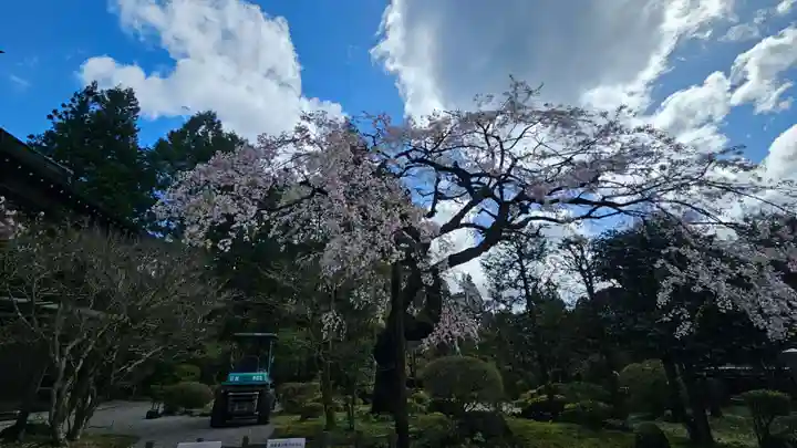 日光東照宮(栃木県)