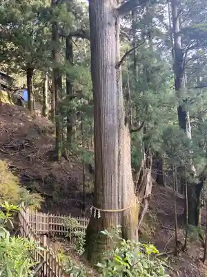 玉置神社(奈良県)
