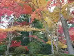 金剛輪寺(滋賀県)