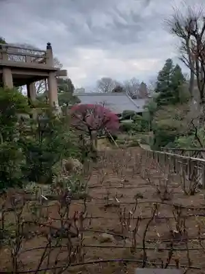 東長谷寺　薬王院(東京都)