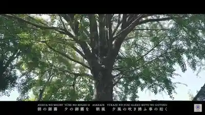 田無神社(東京都)