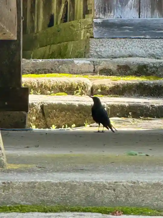 多久神社(京都府)