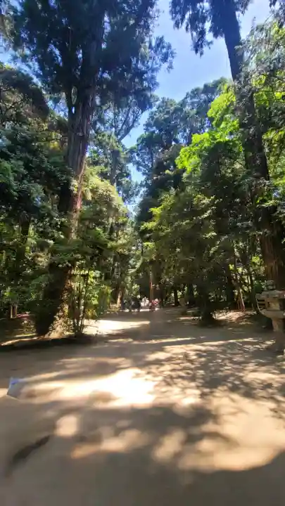 鹿島神宮の{uncategorized: "未分類", other: "その他", undefined: "問題あり", building: "その他建物", grave: "お墓", sacred_gate: "鳥居", guardian: "狛犬", statue: "像", buddha: "仏像", history: "歴史", nature: "自然", garden: "庭園", animal: "動物", pagoda: "塔", temizu: "手水舎", mountain_gate: "山門・神門", sanctuary: "本殿・本堂", subordinate: "末社・摂社", art: "芸術", scenery: "景色", jizo: "地蔵", ema: "絵馬", goshuin: "御朱印", omikuji: "おみくじ", items: "授与品その他", amulet: "お守り", goshuincho: "御朱印帳", eats: "食事", festival: "お祭り", votive_dance: "神楽", shichigosan: "七五三参", wedding: "結婚式", experience: "体験その他", initially: "初詣", around: "周辺", anti_infection: "感染症対策"}