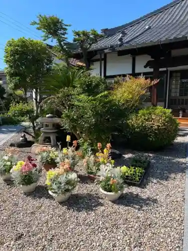 修善寺の庭園