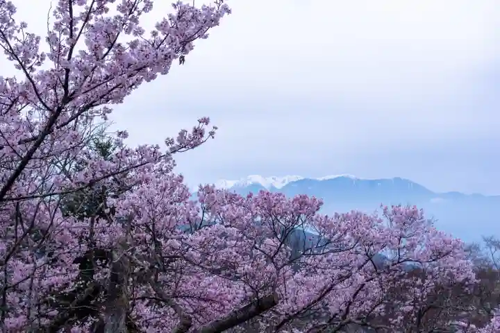 新城藤原神社(長野県)