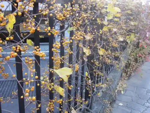 大巧寺(神奈川県)