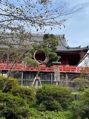 清水観音堂のその他建物