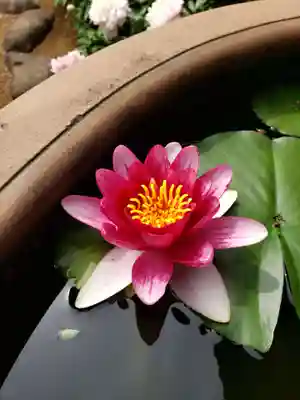 愛染院(東京都)