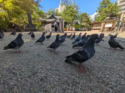 四柱神社(長野県)
