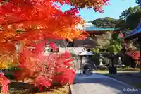 太山寺(兵庫県)