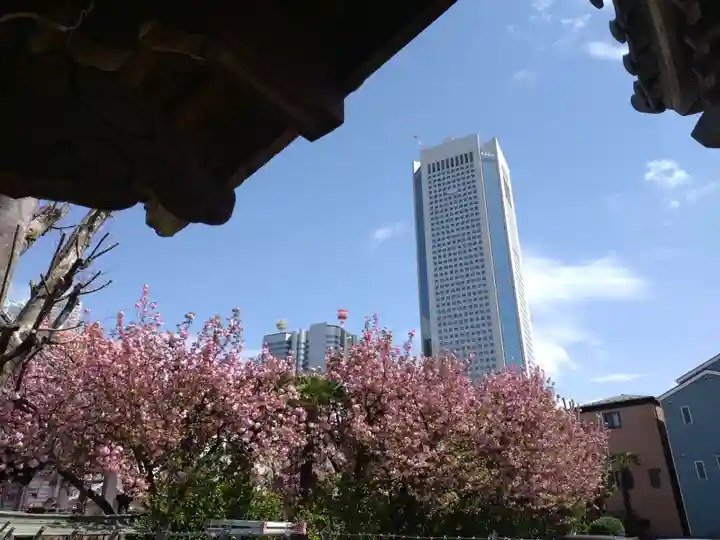 荘厳寺(東京都)