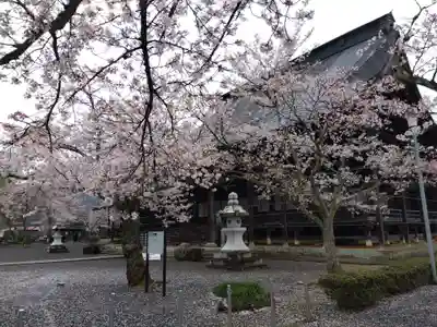 毫攝寺(福井県)