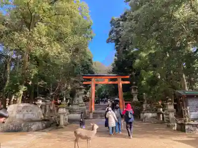 春日大社の{uncategorized: "未分類", other: "その他", undefined: "問題あり", building: "その他建物", grave: "お墓", sacred_gate: "鳥居", guardian: "狛犬", statue: "像", buddha: "仏像", history: "歴史", nature: "自然", garden: "庭園", animal: "動物", pagoda: "塔", temizu: "手水舎", mountain_gate: "山門・神門", sanctuary: "本殿・本堂", subordinate: "末社・摂社", art: "芸術", scenery: "景色", jizo: "地蔵", ema: "絵馬", goshuin: "御朱印", omikuji: "おみくじ", items: "授与品その他", amulet: "お守り", goshuincho: "御朱印帳", eats: "食事", festival: "お祭り", votive_dance: "神楽", shichigosan: "七五三参", wedding: "結婚式", experience: "体験その他", initially: "初詣", around: "周辺", anti_infection: "感染症対策"}