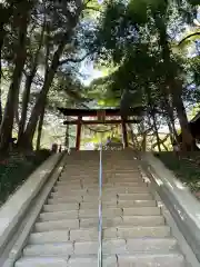 氷川女體神社(埼玉県)