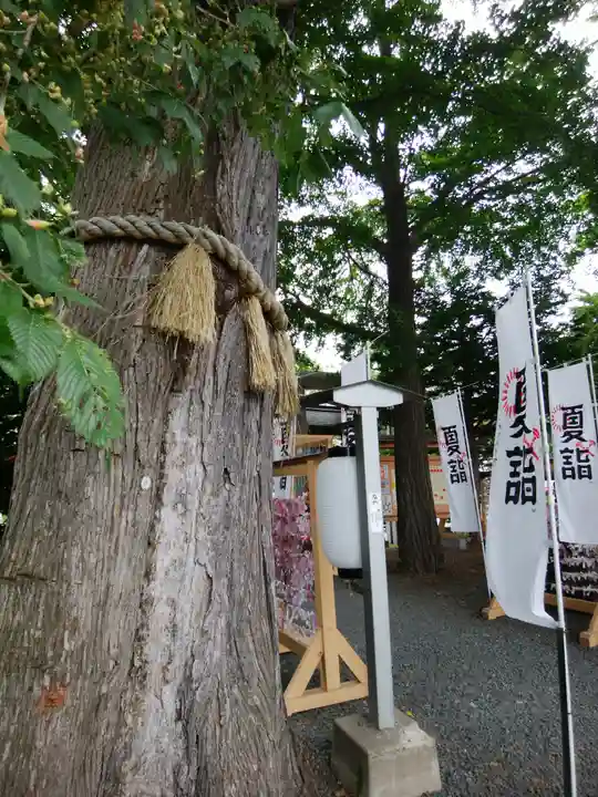 札幌諏訪神社の自然