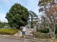 法雲寺(静岡県)