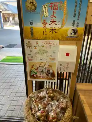 旭川神社のおみくじ