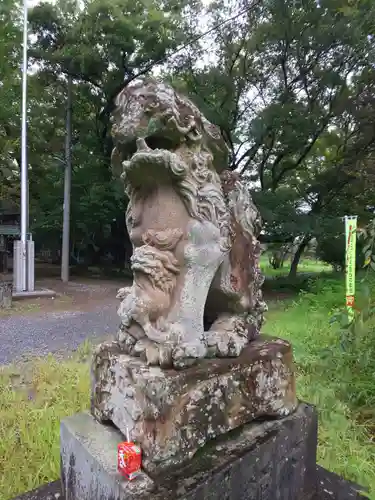 金村別雷神社の狛犬