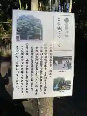 常磐神社の建物その他