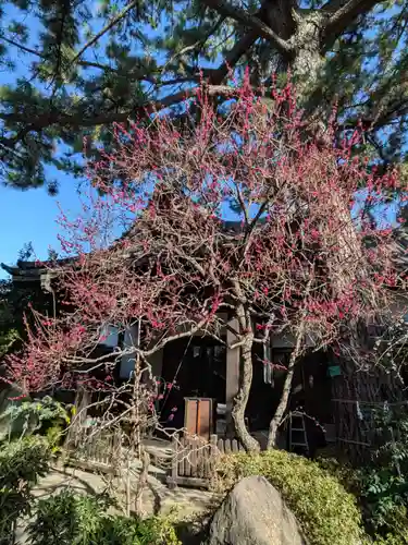 玄国寺(東京都)