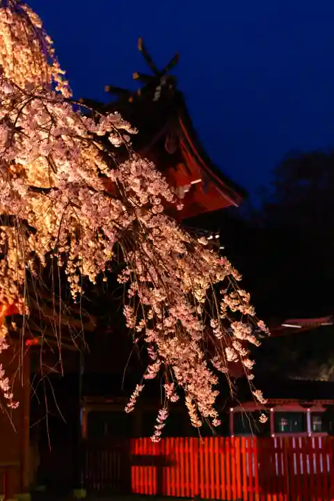富士山本宮浅間大社(静岡県)