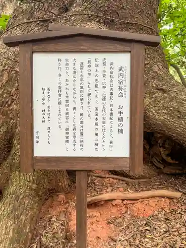 住吉神社(山口県)