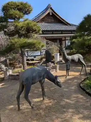 最明寺(埼玉県)