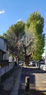 愛宕神社の自然