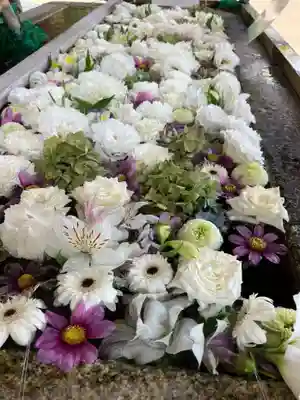 津島神社の手水舎