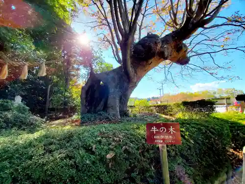 緑水神社の自然