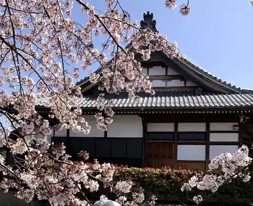 西来寺の本殿・本堂