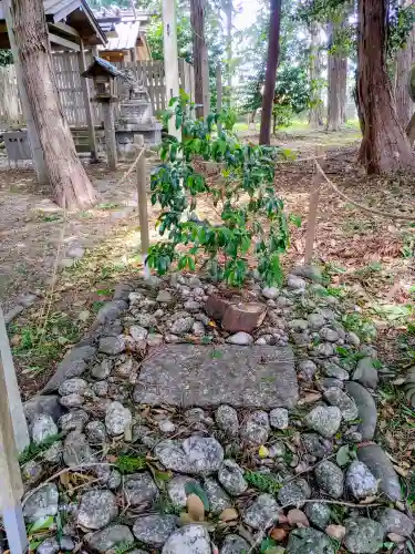 仲神社の自然