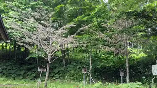 義經神社の自然