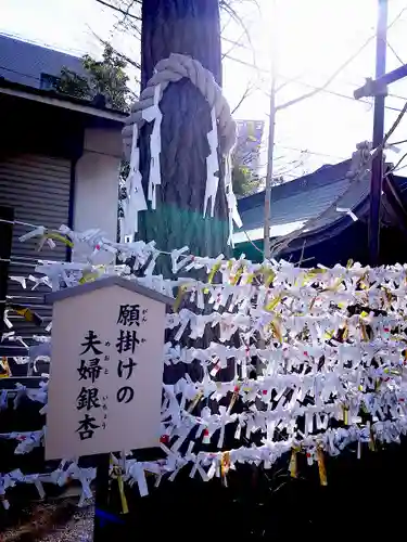 溝口神社のおみくじ