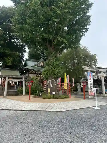 川越八幡宮(埼玉県)