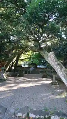 竹野神社のその他建物