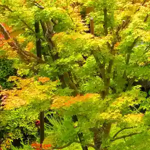 寿量山 速成寺(奈良県)(2022年08月20日(土) 23時25分51秒投稿)