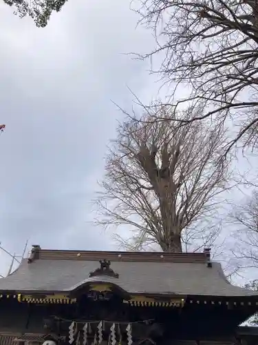 麻賀多神社(千葉県)