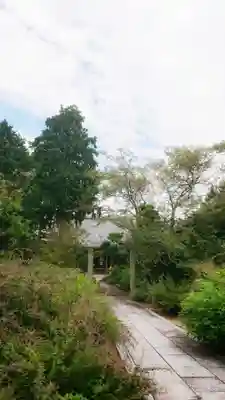 圓光禅寺(円光寺)の本殿・本堂