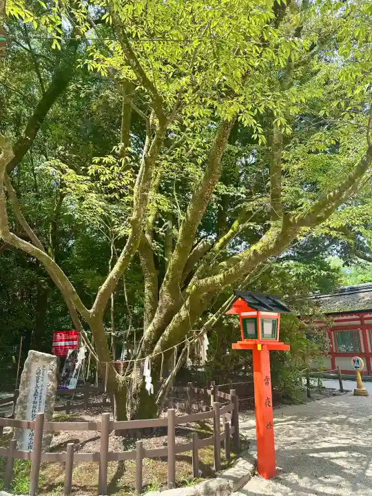 賀茂御祖神社(下鴨神社)(京都府)