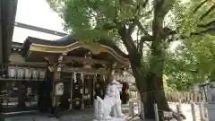 石津神社の本殿