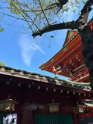 神田神社（神田明神）の狛犬