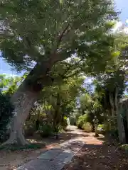 熊野神社(千葉県)